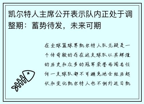 凯尔特人主席公开表示队内正处于调整期：蓄势待发，未来可期